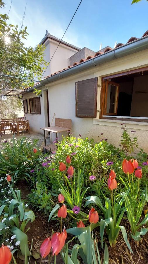 Apartman Kristina And Free Parking Mali Lošinj Dış mekan fotoğraf
