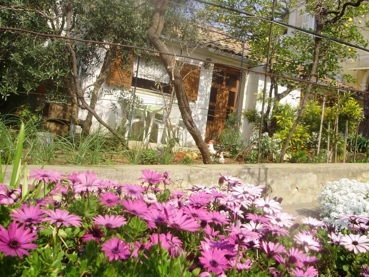 Apartman Kristina And Free Parking Mali Lošinj Dış mekan fotoğraf